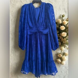 *Worn Once* Elegant Cobalt Blue Long Sleeve Women's Dress